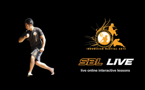 SBL AIP (Accelerated Instructor Programme)